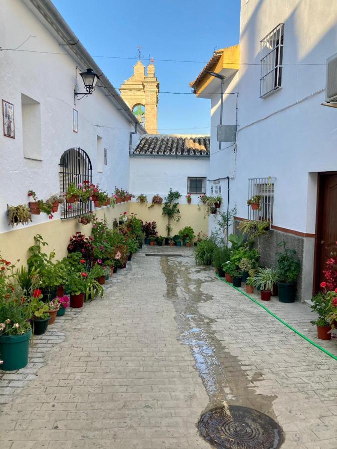 Apartamento Nuevo En Sierra Sur Sevilla Villanueva de San Juan Екстер'єр фото